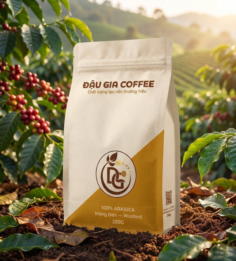Đồi cà phê arabica vùng cao xứ lạnh Kon Tum trên độ cao 1.000m