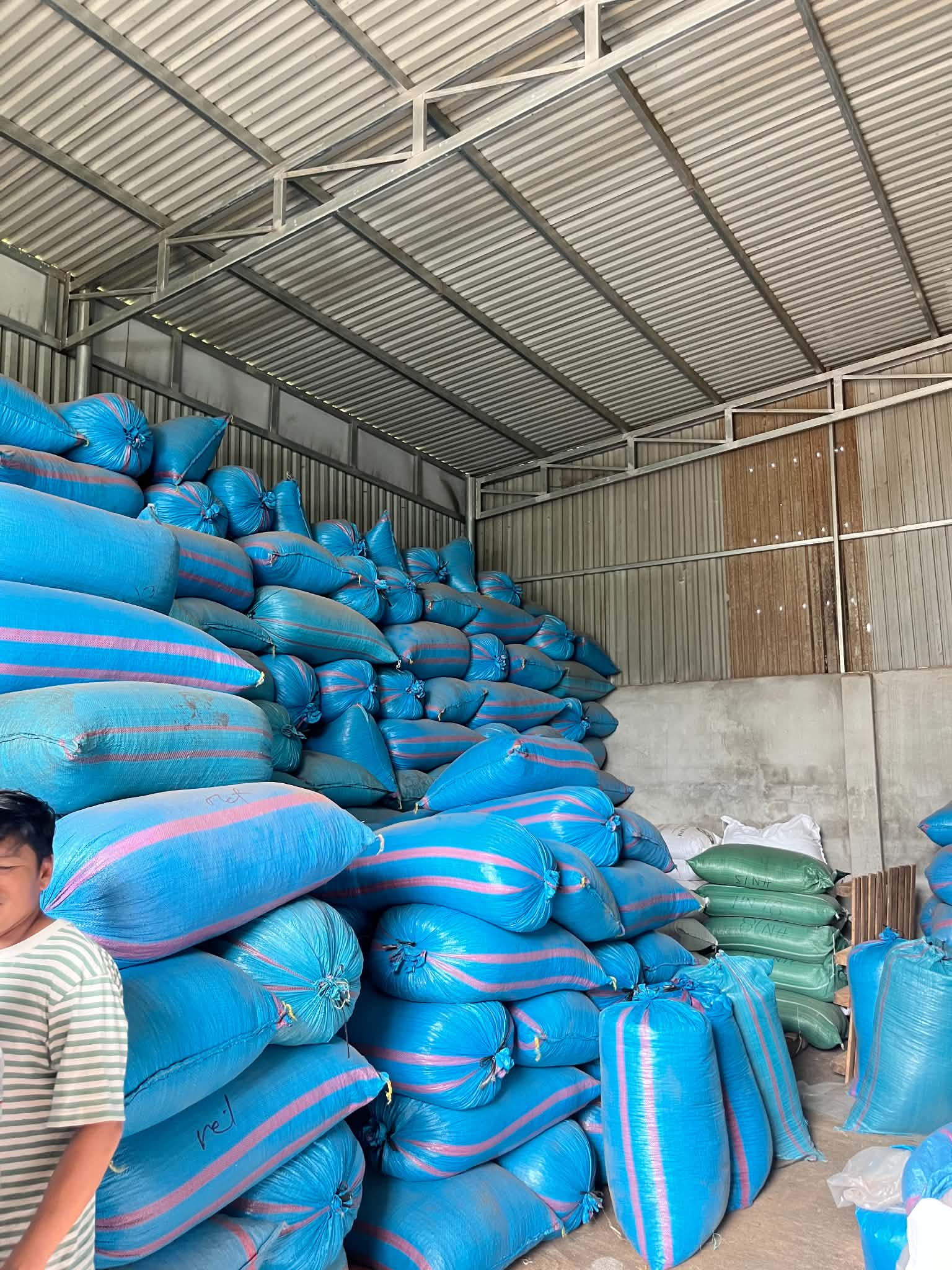 Kho cà phê hữu cơ Đậu Gia — minh hoạ nguồn cung và định giá cà phê hữu cơ