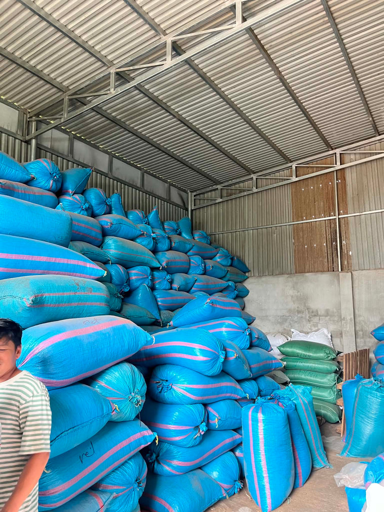 Kho cà phê hữu cơ Đậu Gia — minh hoạ nguồn cung và định giá cà phê hữu cơ