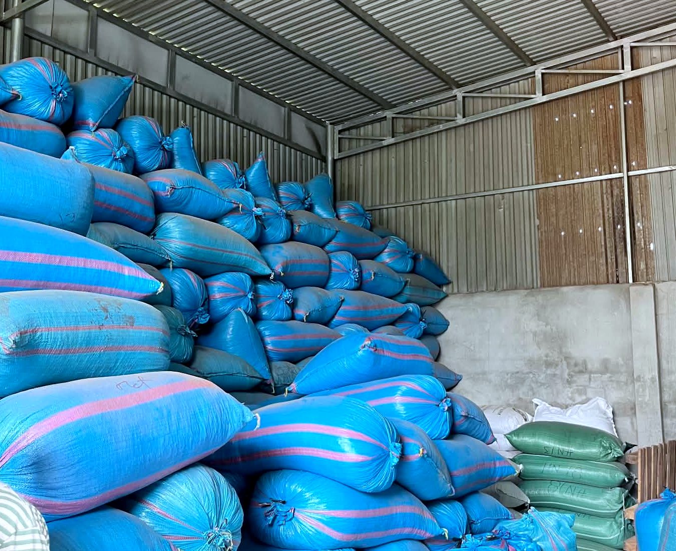Lô hạt cà phê rang của Đậu Gia — nguyên liệu cho buổi tập thử nếm cà phê tại nhà