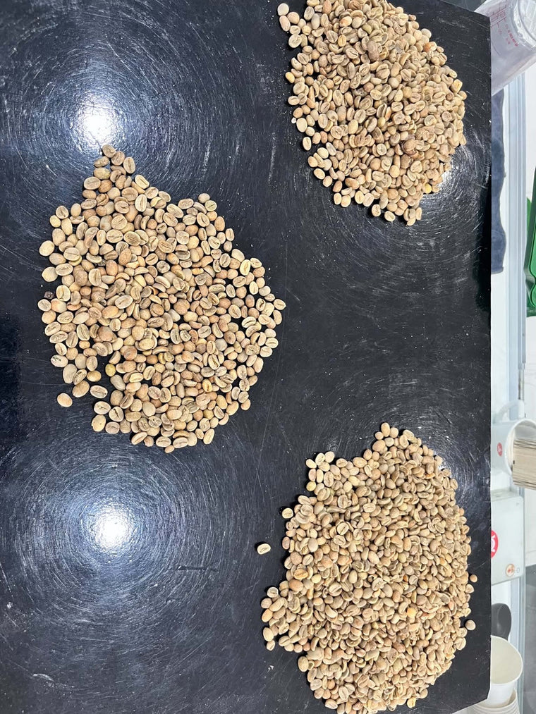 Nhân xanh Arabica Măng Đen tuyển chọn — nền tảng cho ly espresso arabica vùng cao
