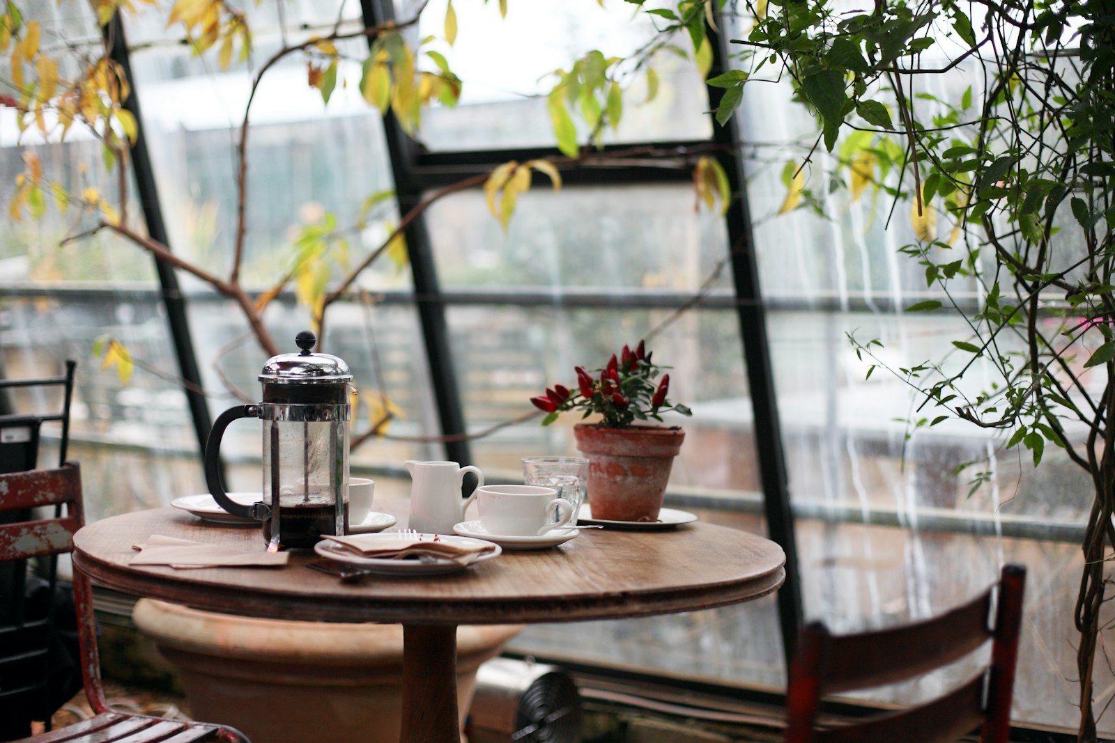 Bình french press và tách cà phê trên bàn gỗ