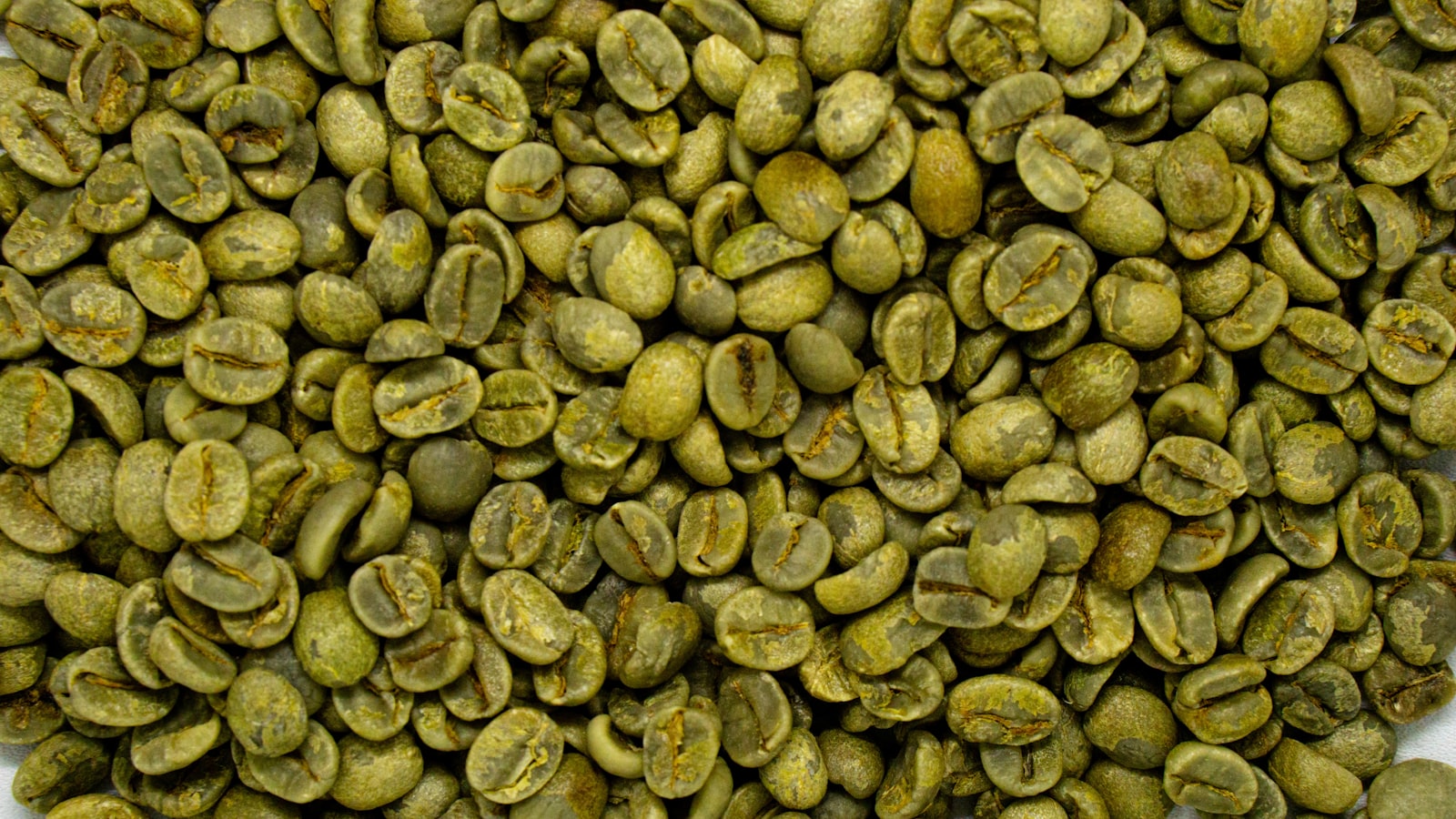 Nhân xanh cà phê robusta chưa rang, đối tượng đánh giá fine robusta