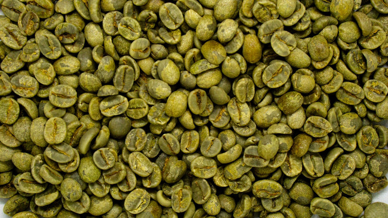 Nhân xanh cà phê robusta chưa rang, đối tượng đánh giá fine robusta