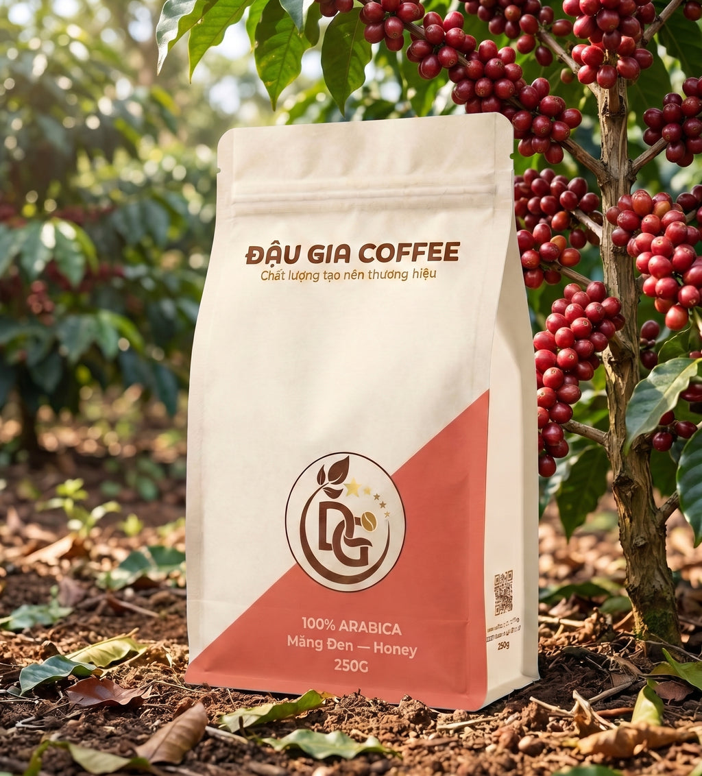 Cà phê Arabica Măng Đen sơ chế Honey - Đậu Gia Coffee - bên cây cà phê chín đỏ