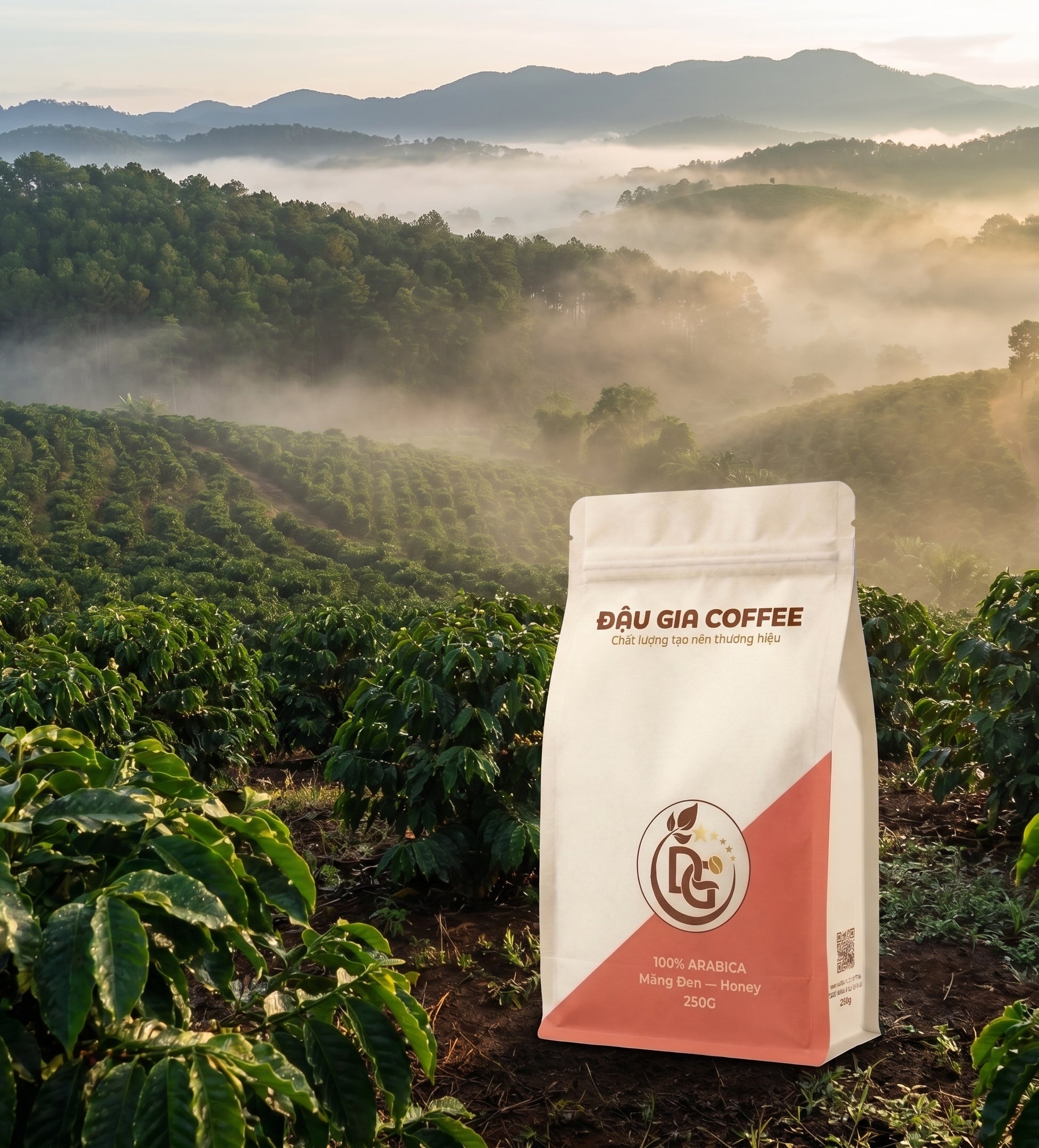 Cà phê Arabica Măng Đen sơ chế Honey - Đậu Gia Coffee - đồi cà phê cao nguyên Măng Đen