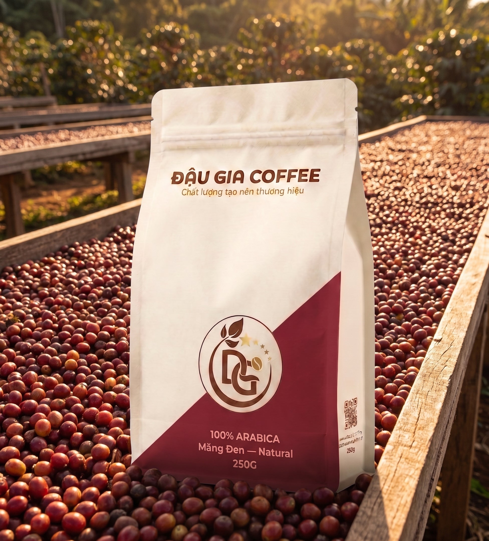 Cà phê Arabica Măng Đen sơ chế Natural - Đậu Gia Coffee - phơi nguyên trái trên giàn