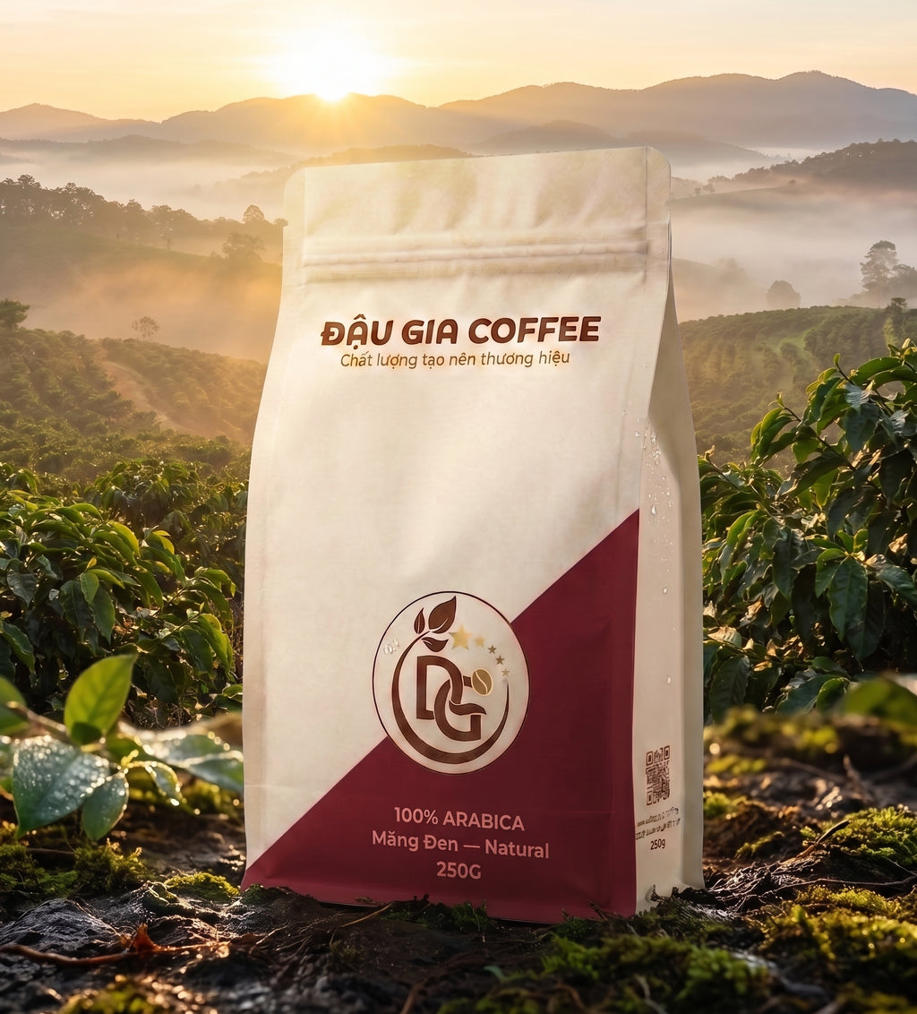 Cà phê Arabica Măng Đen sơ chế Natural - Đậu Gia Coffee - đồi cà phê cao nguyên Măng Đen