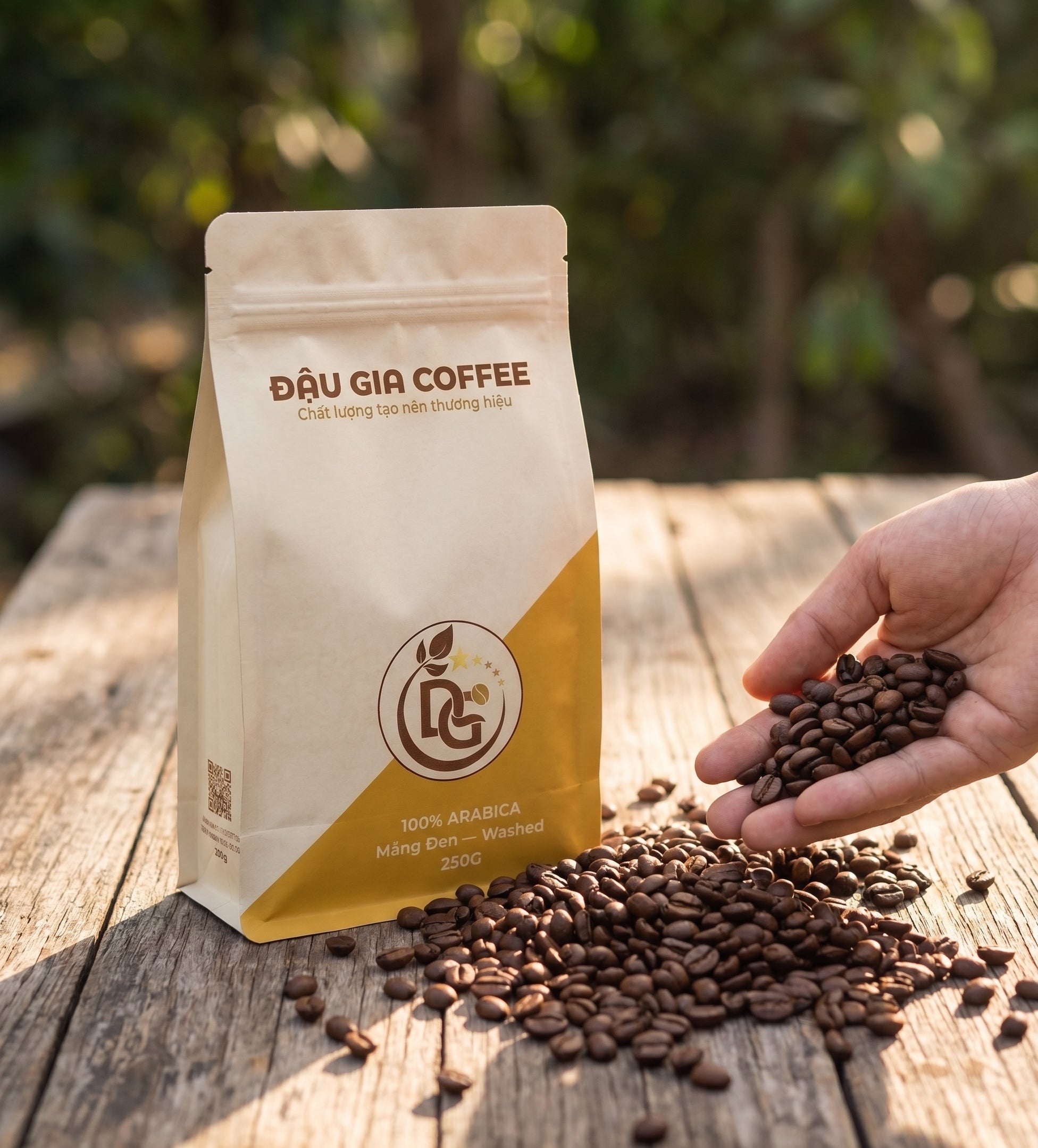 Bàn tay bốc hạt cà phê rang bên gói Arabica Măng Đen Washed Đậu Gia
