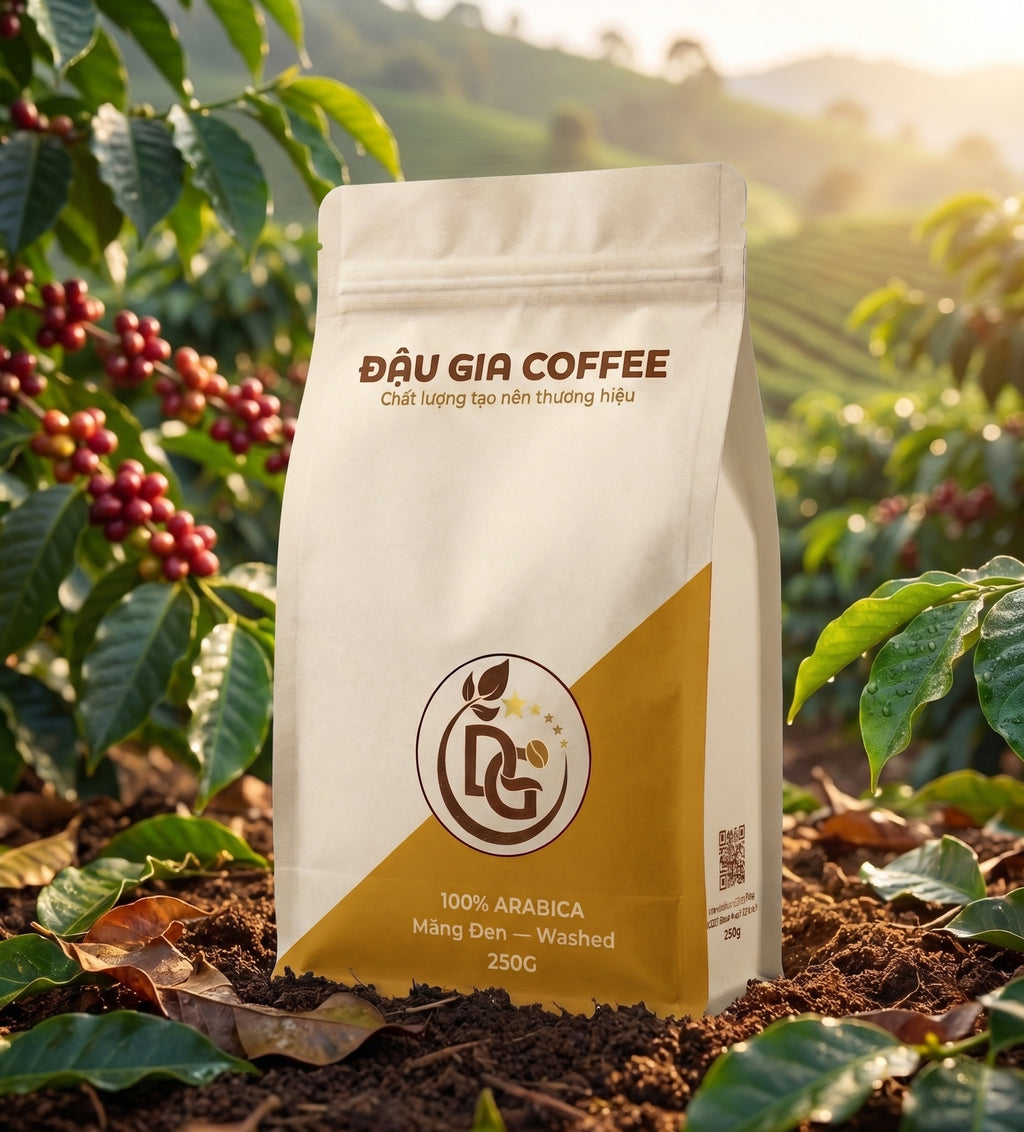 Cà phê Arabica Măng Đen Washed giữa đồi cà phê cao nguyên